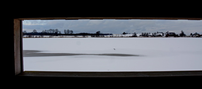 Obermooser Teich