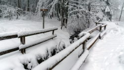 Winterwandern-Höhenrundweg-Niddaquelle - Vogelsberg-Blog