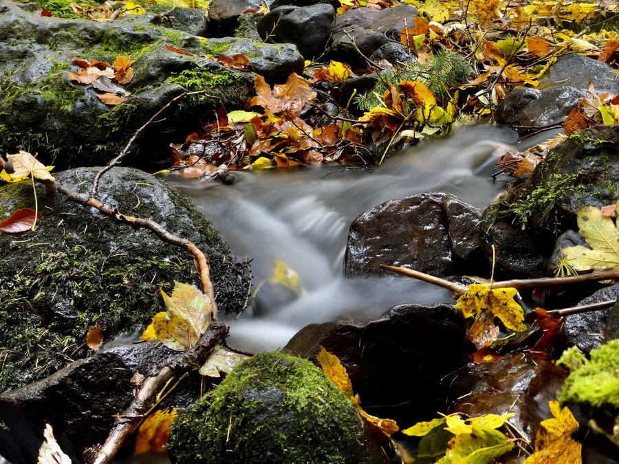 Schwarzbachtal - Herbst 2021 - Vogelsbergliebe - IPhone 12Pro
