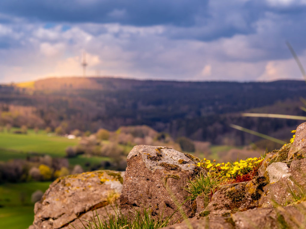 Vogelsberg-Liebe-Fotowalk-Ernstberg-Bergmaewisesnpfad