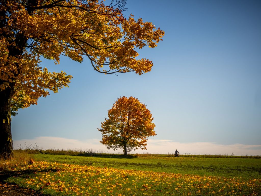 Herbstlich im Vogelsberg - Vogelsbergliebe