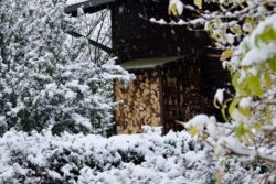 Erster Schnee im Vogelsberg - Vogelsbergliebe.de