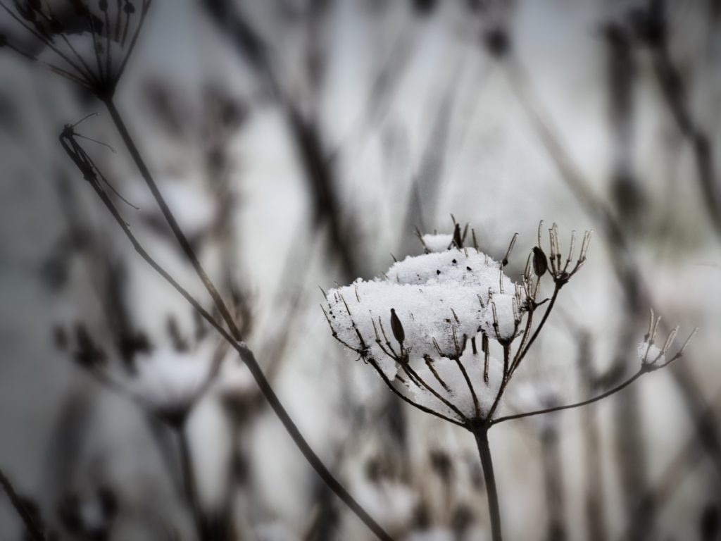 Erster Schnee im Vogelsberg - Vogelsbergliebe.de