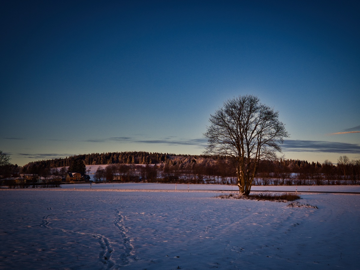 Winterlicher Sonnenuntergang im Vogelsberg