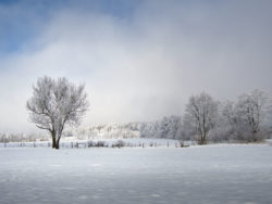 Winterwonderworld-2023-Vogelsbergliebe-