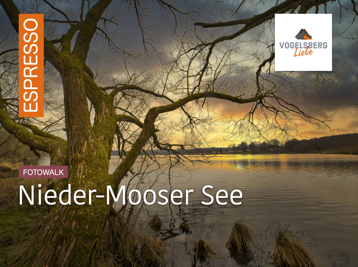 Vogelsberliebe ESPRESSO - Mooser Seenplatte Winterzeit 2023_41