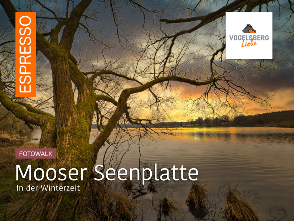 Vogelsberliebe ESPRESSO - Mooser Seenplatte Winterzeit 2023_41