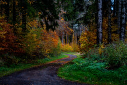 Vogelsbergliebe-Herbst-Impressionen-zum-Poetryslam