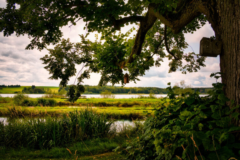 Heinrich Heine - Besich im Vogelsberg - wie es Ihn wohl nie gab - Vogelsbergliebe