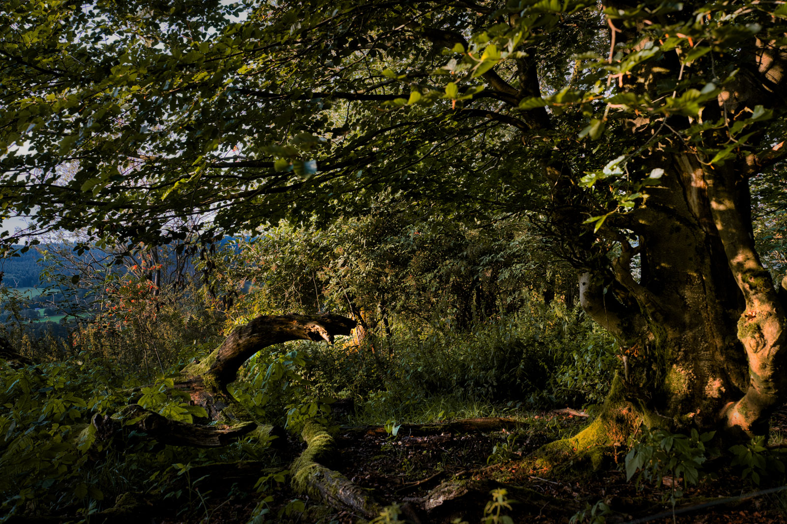 Ein visueller Streifzug durch unsere Berglandschaft-