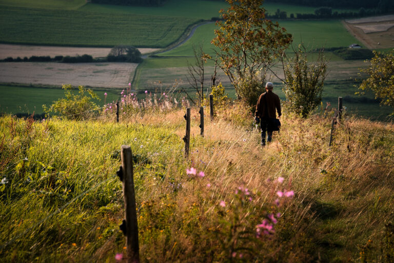 Ein visueller Streifzug durch unsere Berglandschaft-