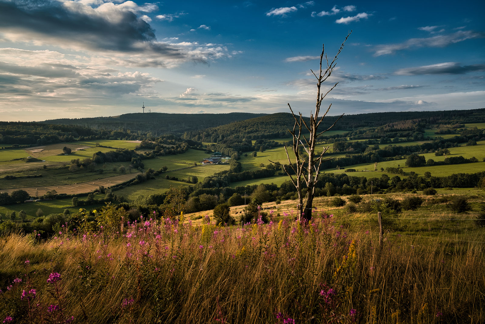 Ein visueller Streifzug durch unsere Berglandschaft-