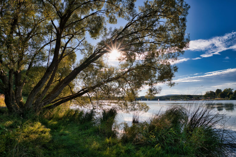 Nieder-Mooser See - Vogelsberg