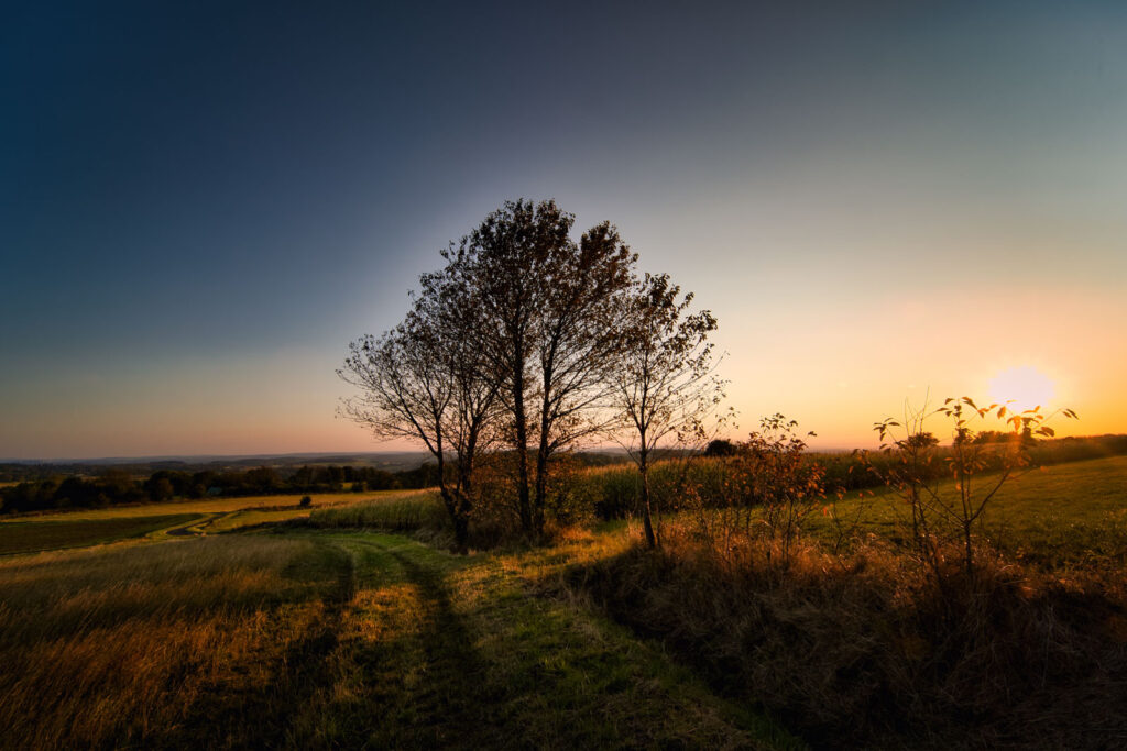 Fotopirsch im Hohen Vogelsberg -