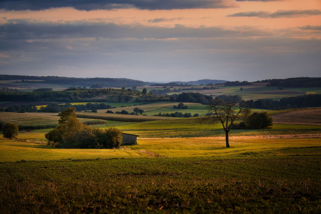 abendstimmung-im-vogelsberg-