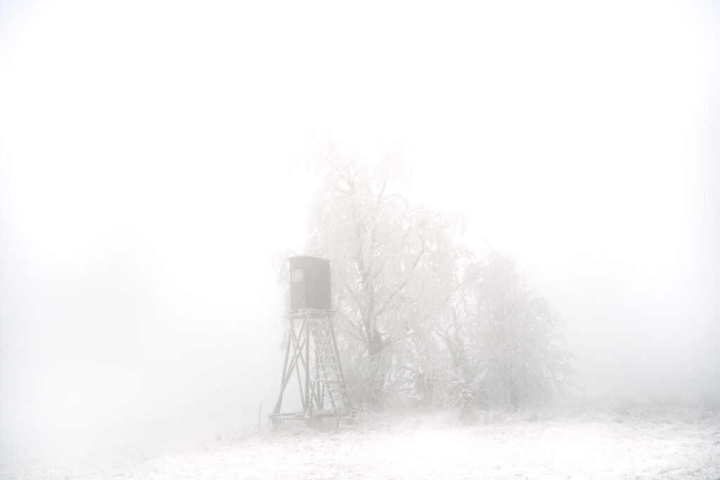 Raureif und Nebel im Hohen Vogelsberg