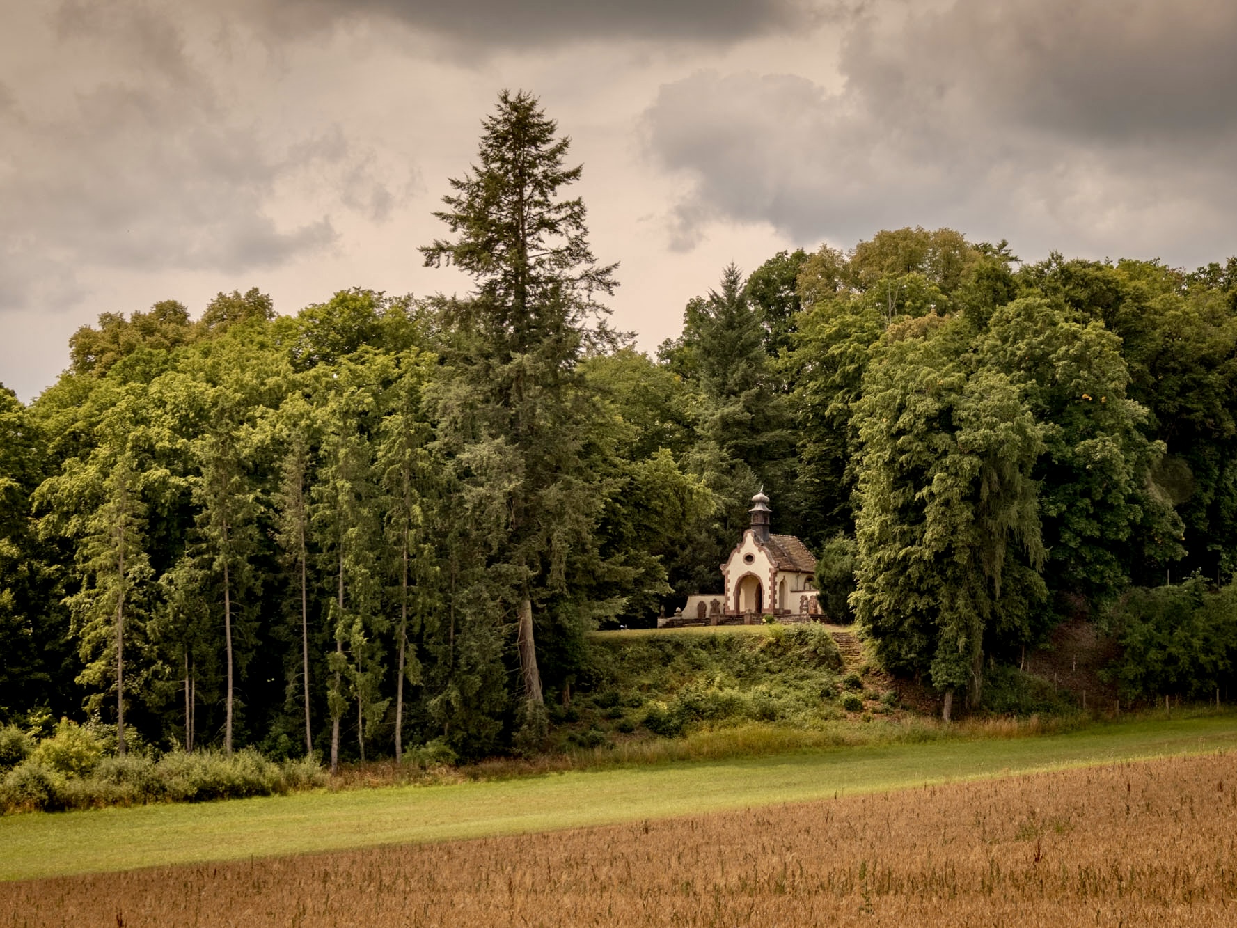 Hotspot-Steigertal-Vogelsberg