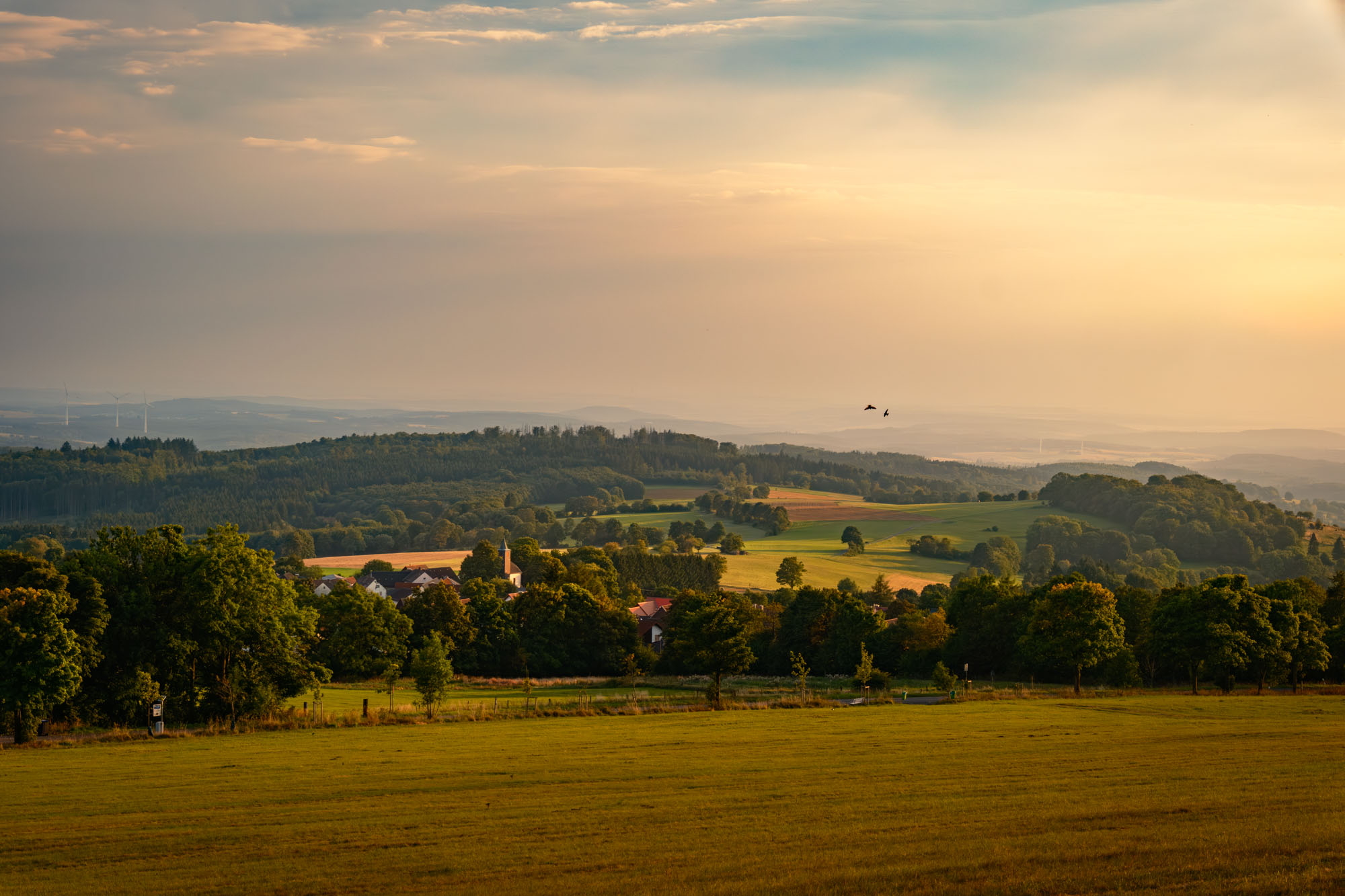 Abendstimmung_Herchenhainer-Höhe