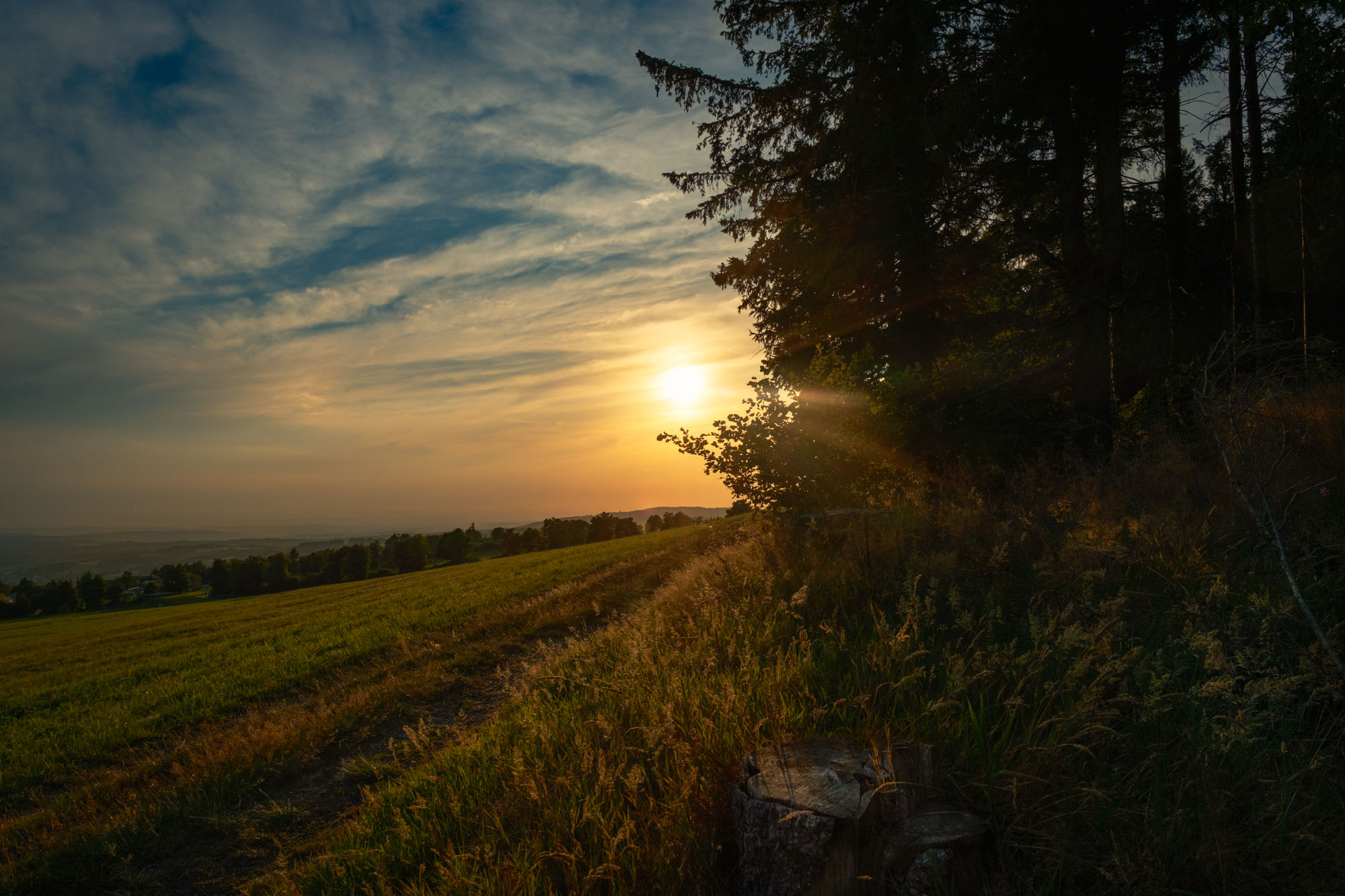 Abendstimmung_Herchenhainer-Höhe