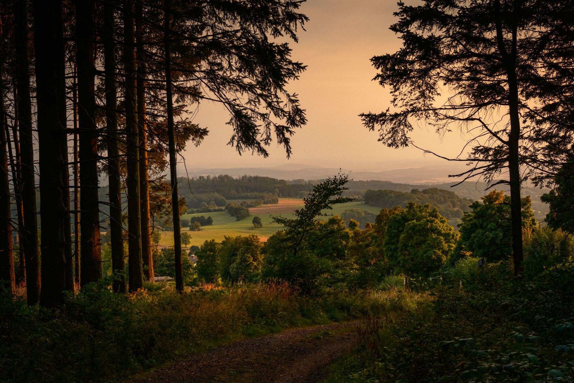 Abendstimmung_Herchenhainer-Höhe