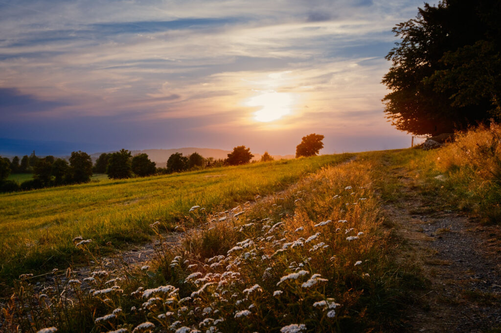 Abendstimmung_Herchenhainer-Höhe