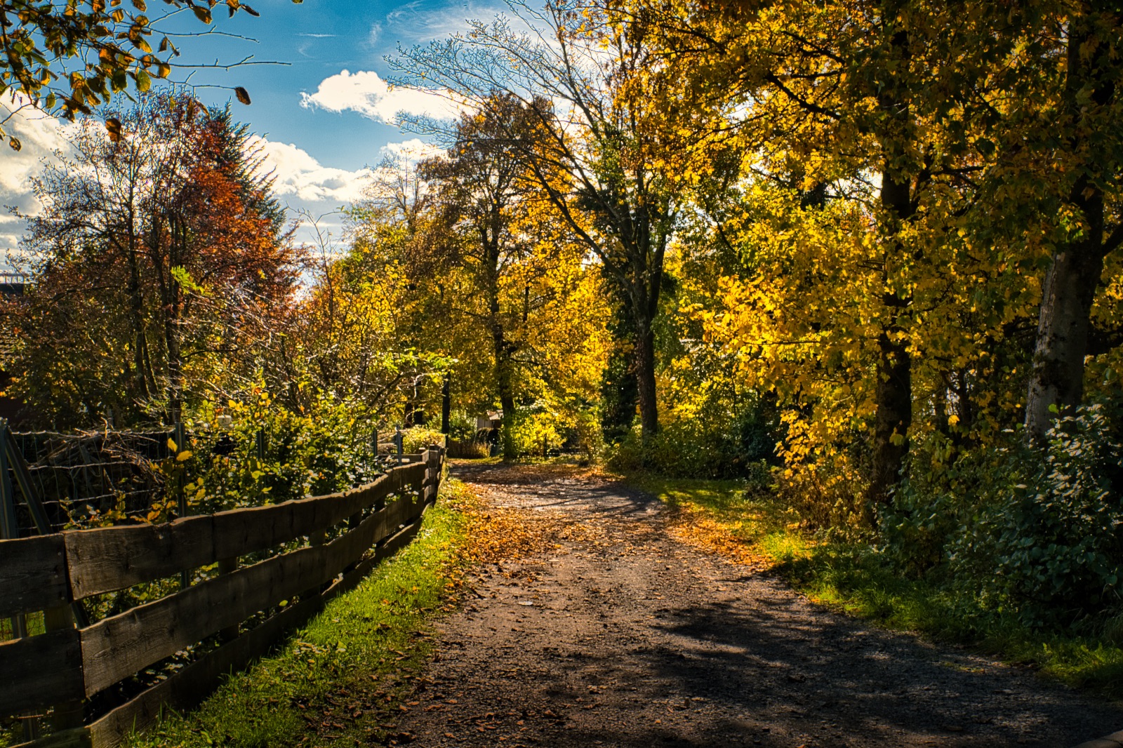 Herbstzauber-im-Vogelsberg