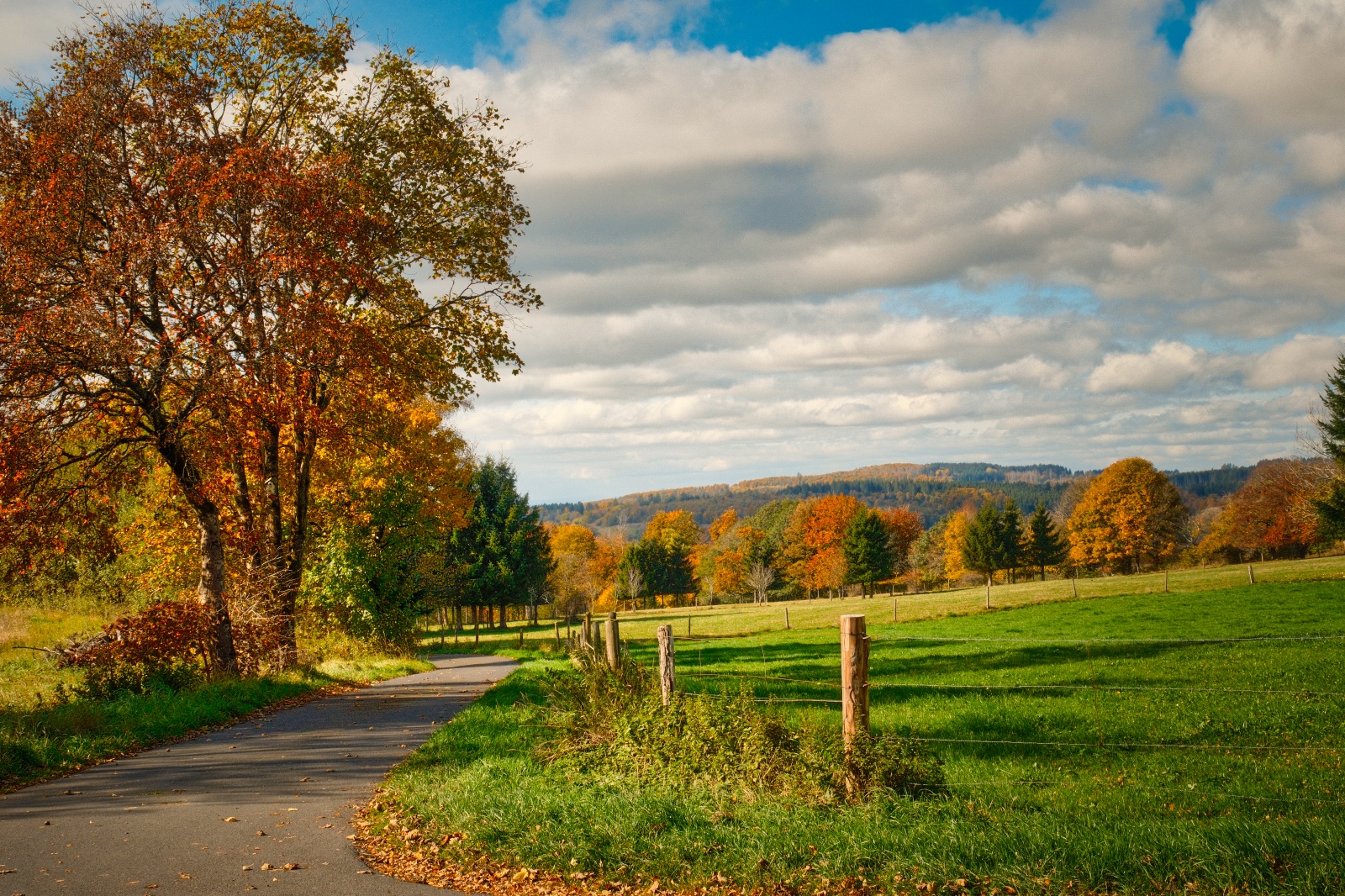 Herbstzauber-im-Vogelsberg