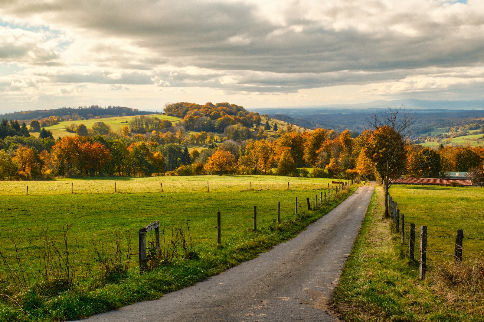 Herbstzauber-im-Vogelsberg