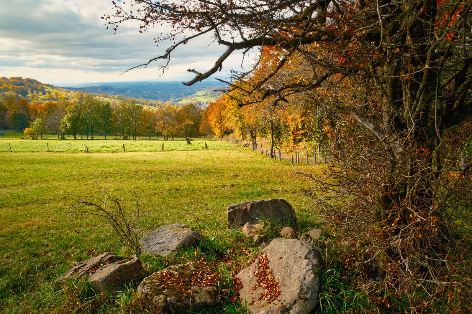 Herbstzauber-im-Vogelsberg