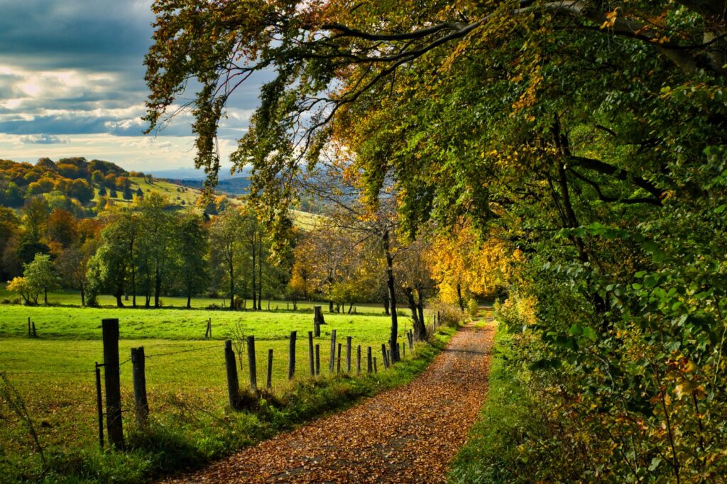 Herbstzauber-im-Vogelsberg