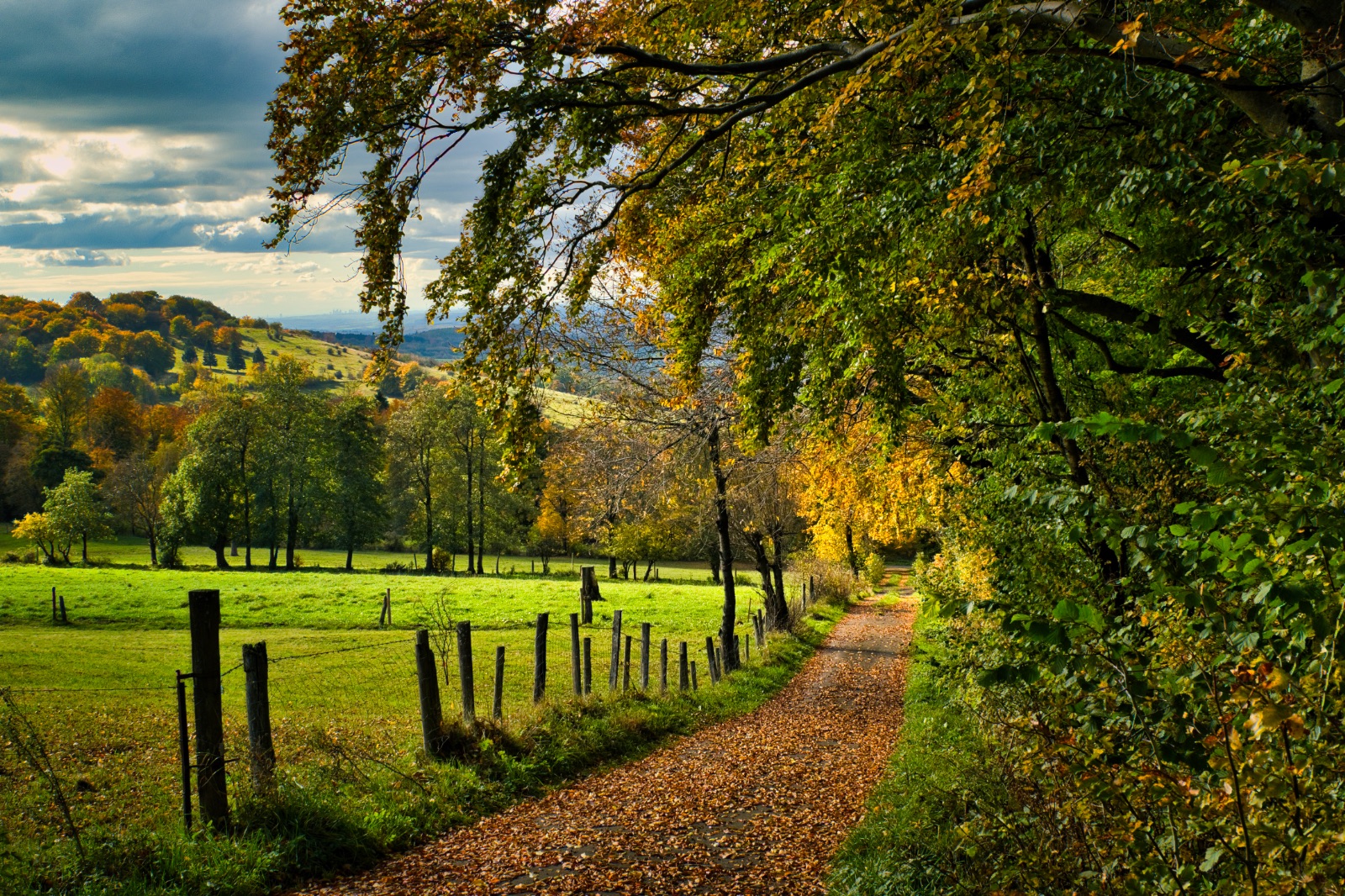 Herbstzauber-im-Vogelsberg