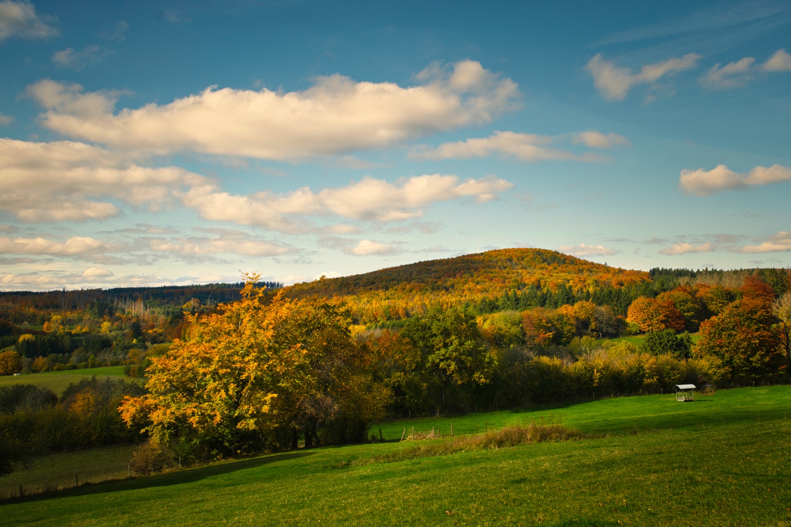 Herbstzauber-im-Vogelsberg