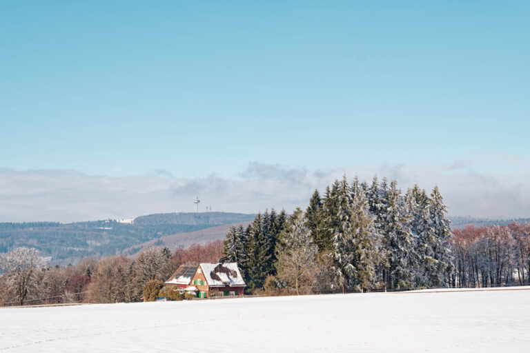 chnee-Vogelsbergliebe-Fujifim-SOOC