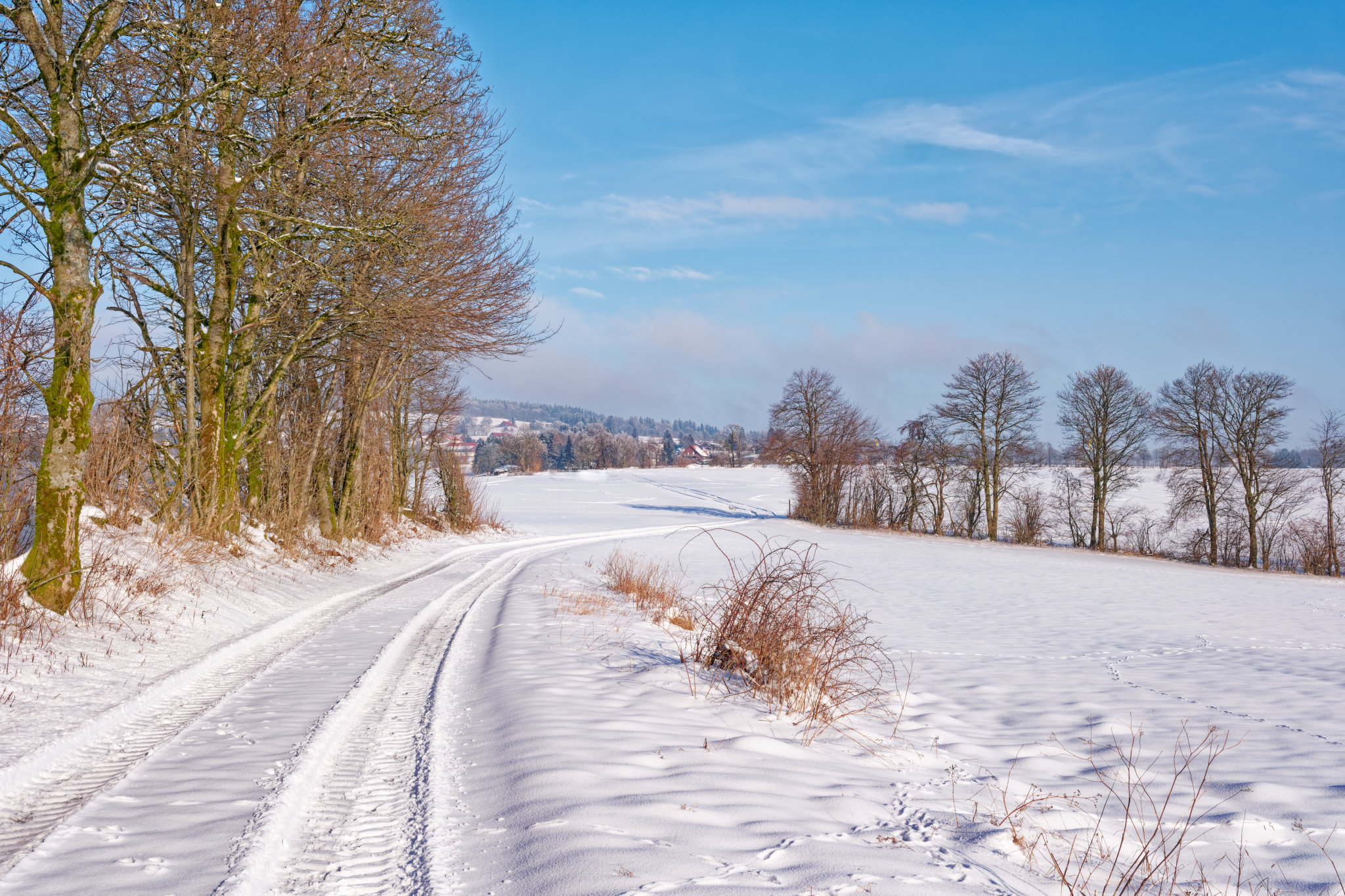 chnee-Vogelsbergliebe-Fujifim-SOOC