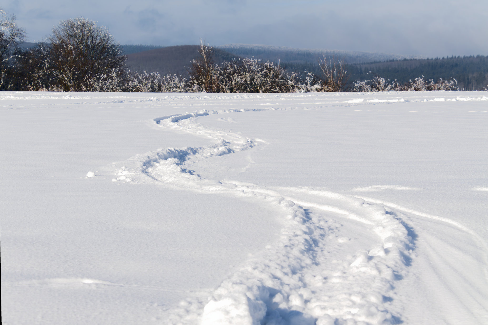 chnee-Vogelsbergliebe-Fujifim-SOOC