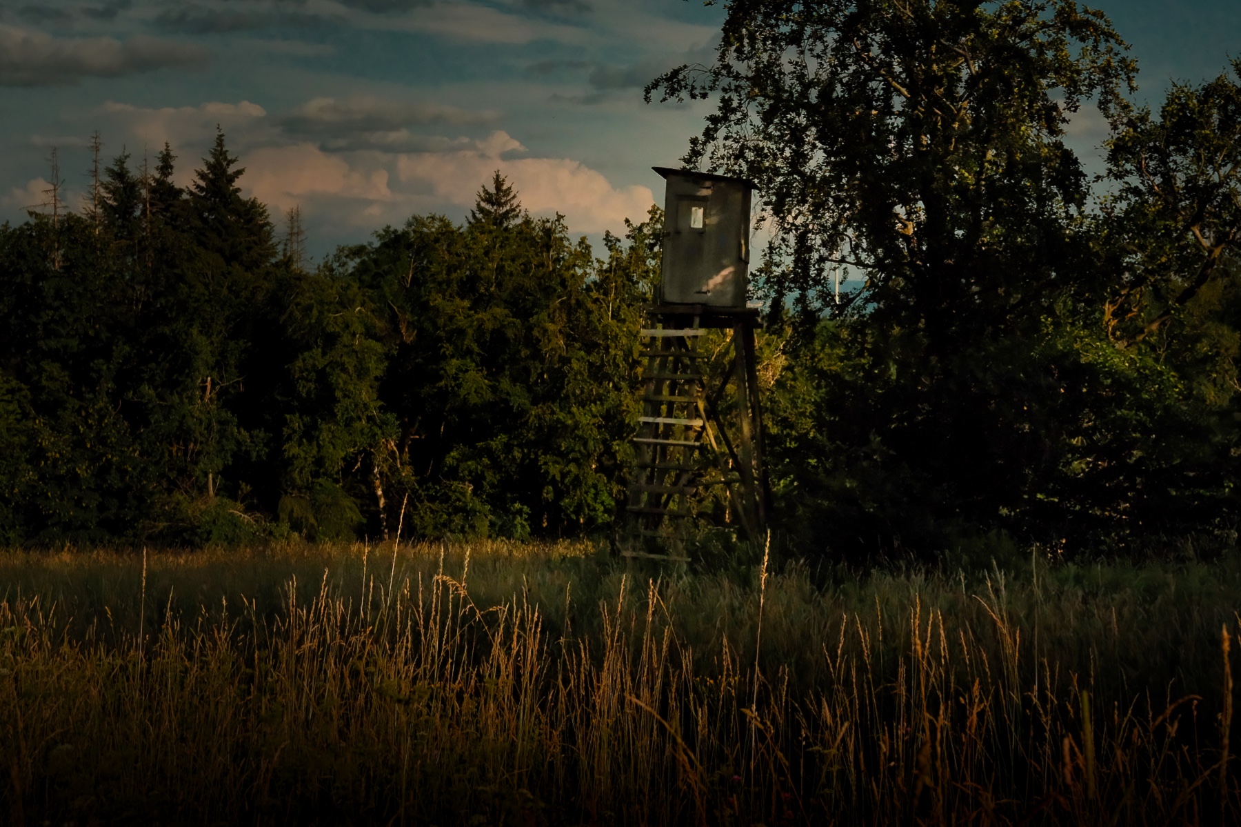 bilder-mit-seele-sommer-im-vogelsberg