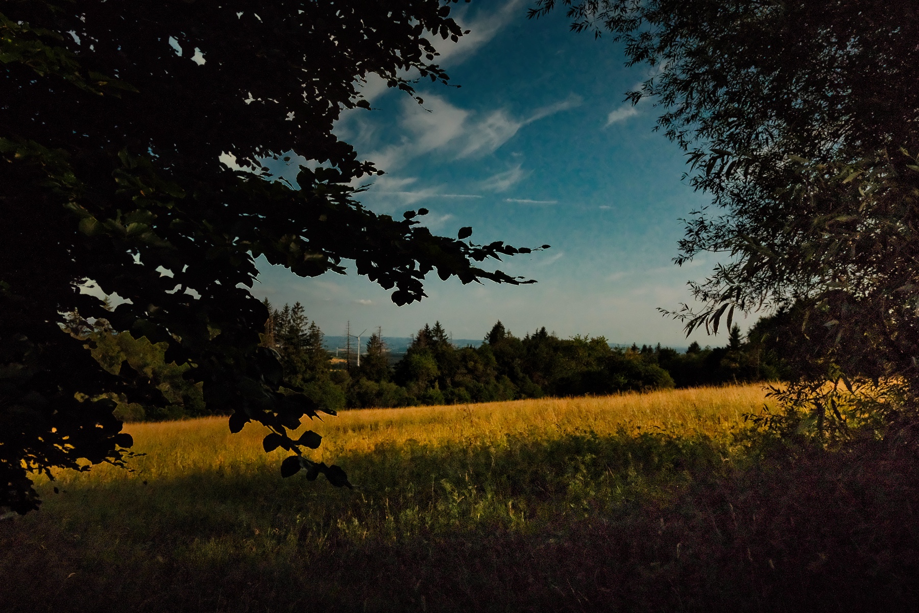 bilder-mit-seele-sommer-im-vogelsberg