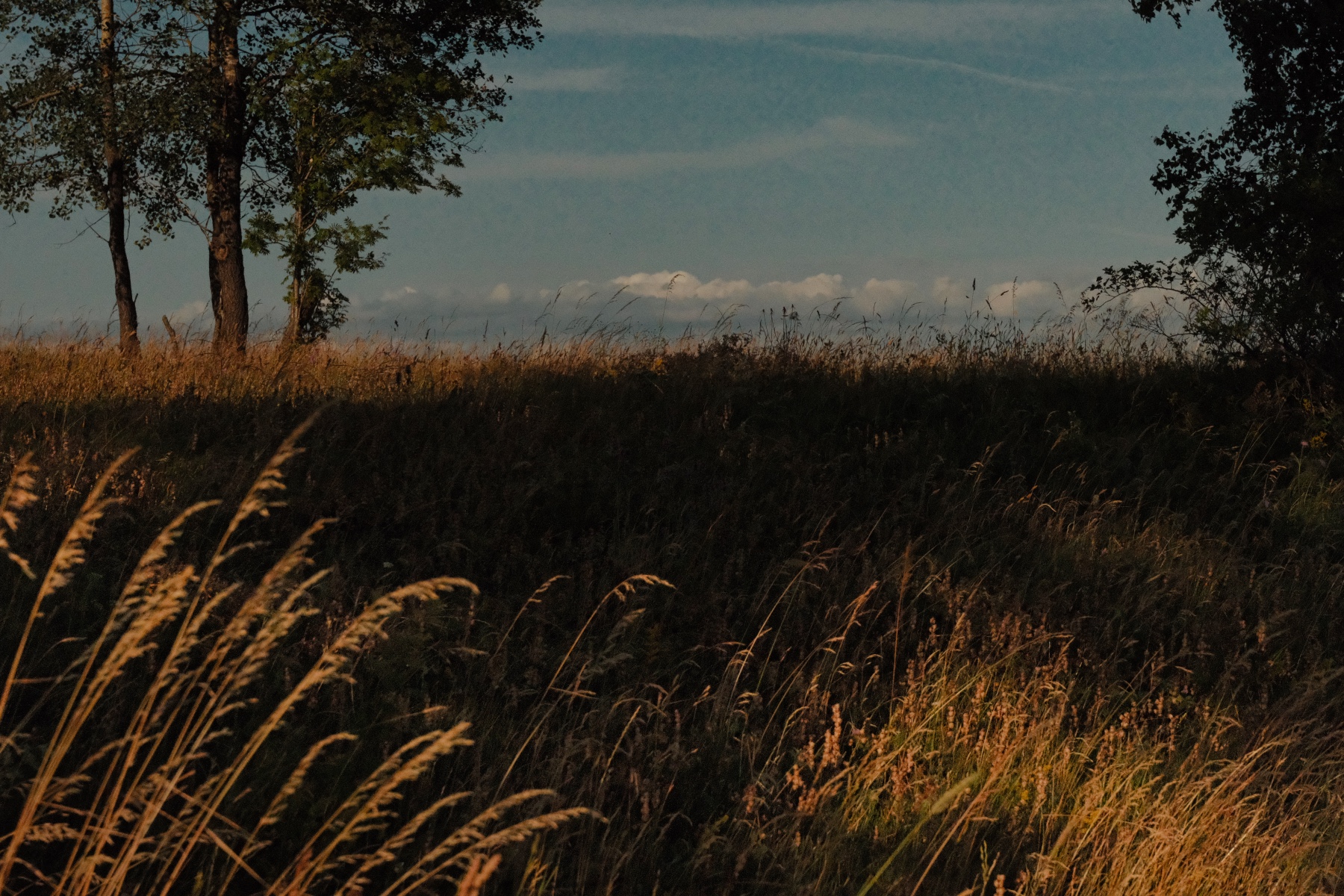 bilder-mit-seele-sommer-im-vogelsberg