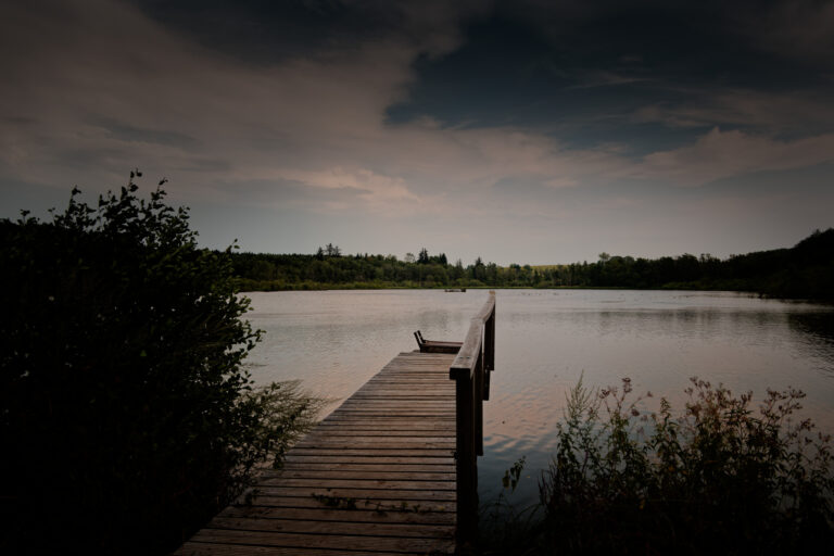 Rothenbachteich-Vogelsberg-
