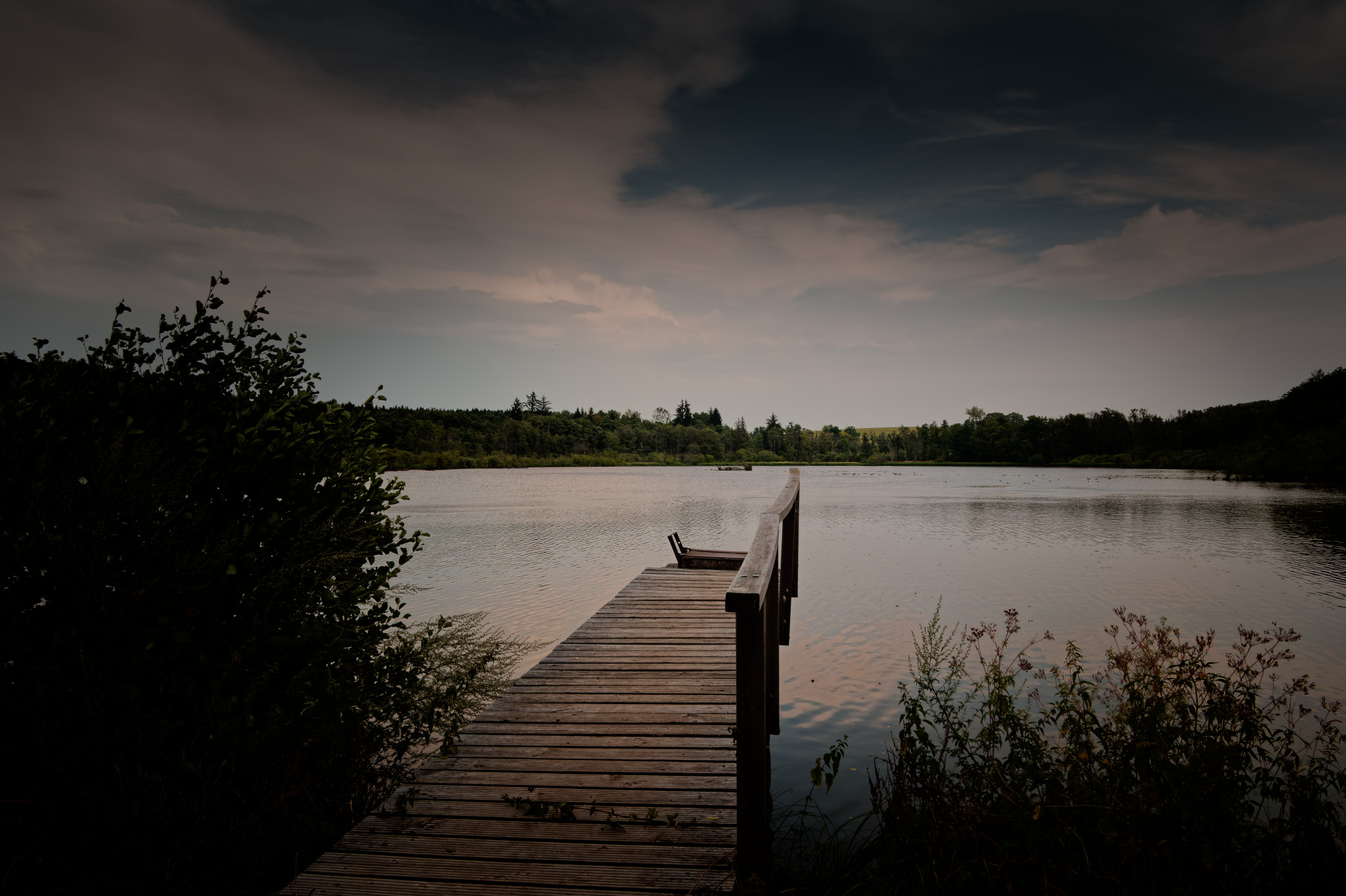 Rothenbachteich-Vogelsberg-