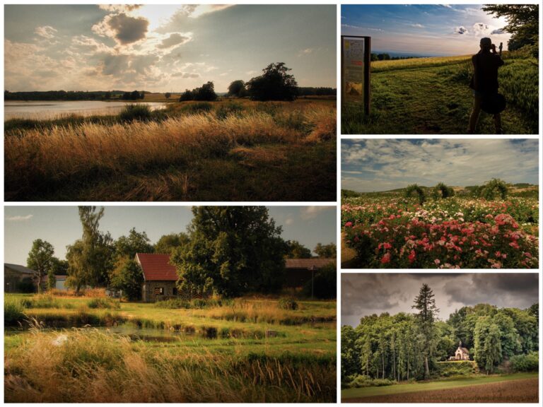 Der Sommer ist magisch! ☀️ Neue Orte, tolle Menschen, unbeschwerte Tage – wir sammeln Erinnerungen fürs Leben. Genau deshalb lieben wir die Fotografie seit Jahrhunderten: Sie macht Momente unendlich. Und genau deshalb gibt es Shootcamp! 📸✨ Damit deine Erinnerungen dieses Jahr noch genialer aussehen, kommen hier 4 schnelle Handy-Tricks für den Urlaub: