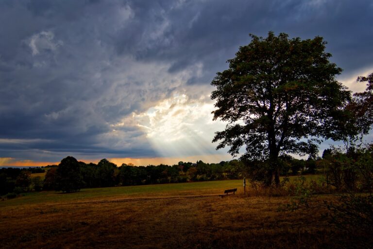 Abendstimmung-im-Vogelsberg-Vogelsbergliebe.de-
