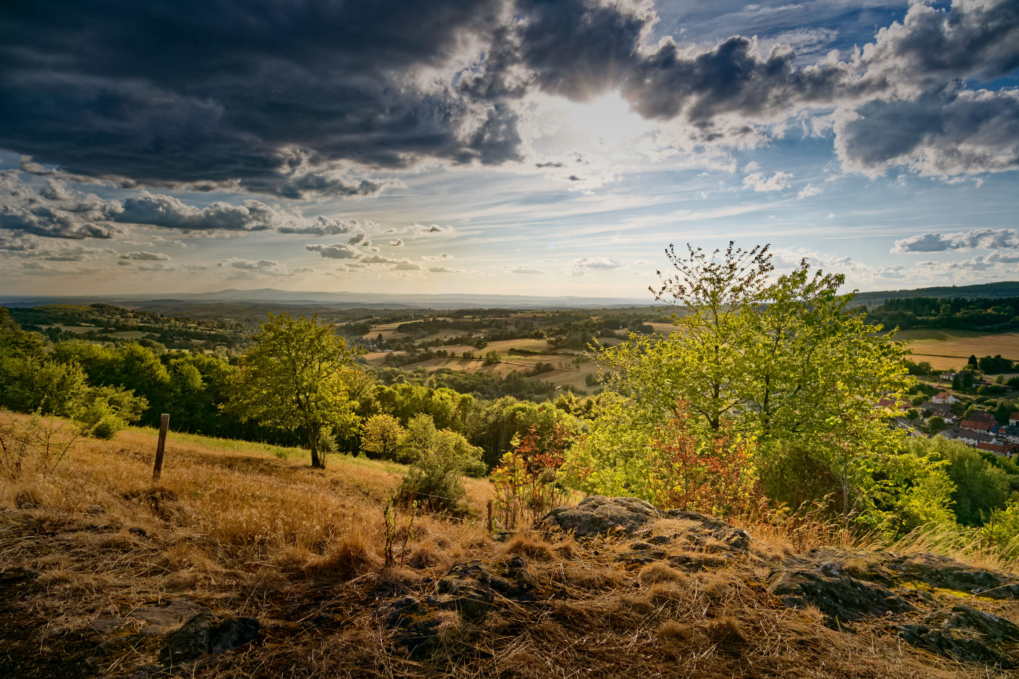 Am-Ernstberg-Hutebuche-Vogelsberg-Vogelsbergliebe.de-