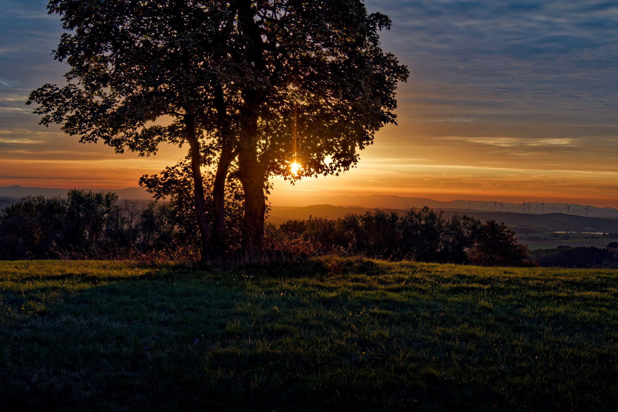 Sonnenaufgang-Vogelsberg-