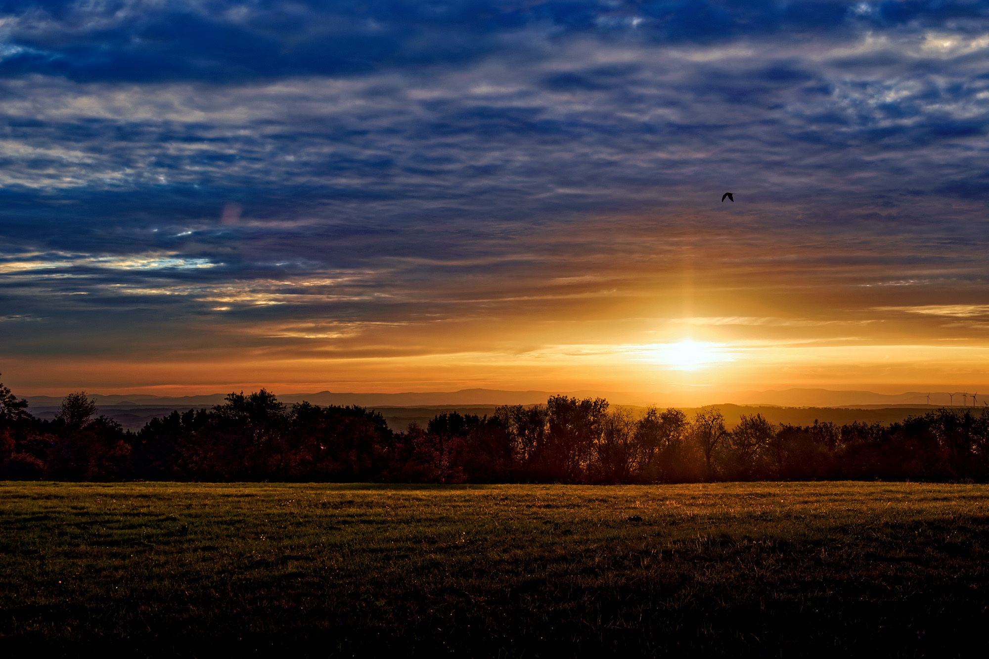 Sonnenaufgang-Vogelsberg-