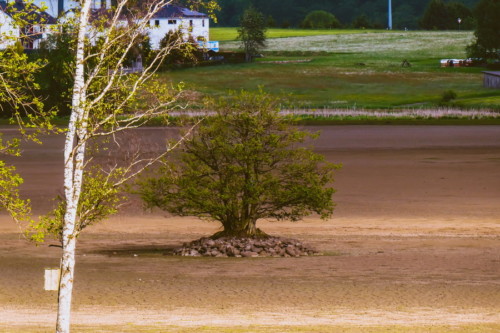 Obermooser Teich - Faulschlamm - Sömmern